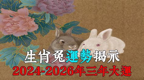 兔 運勢|2024生肖兔整年運勢一次看！多注意健康、主動做一。